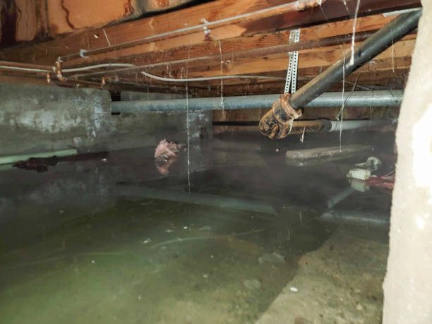 Best Flooded house restoration  in Eagle Crest, OR
