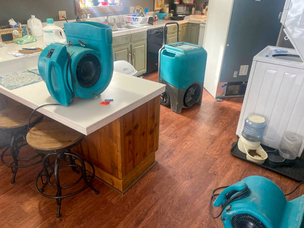 Best Water damage restoration near me  in Eagle Crest, OR