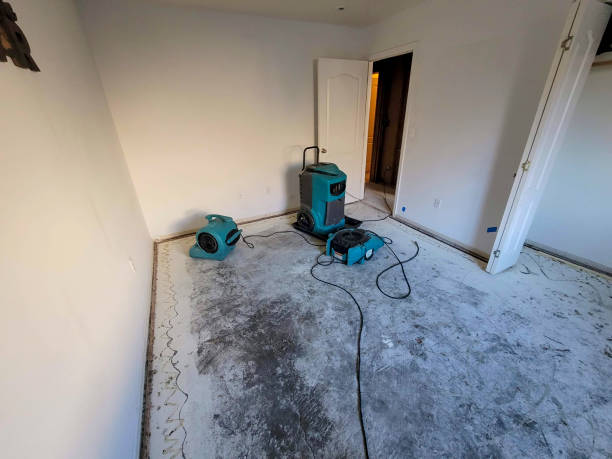 Best Local water damage restoration  in Eagle Crest, OR