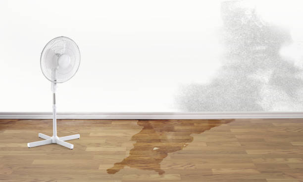 Best Flood restoration services  in Eagle Crest, OR
