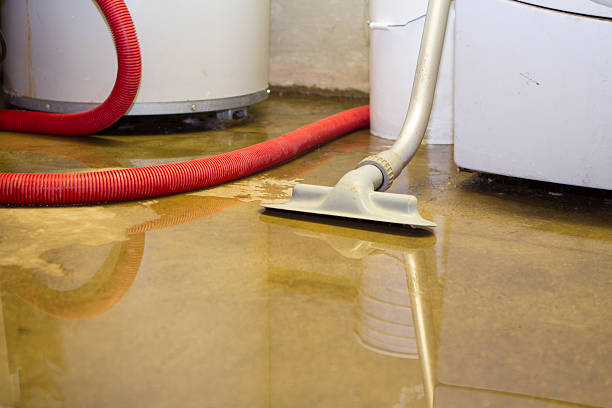 Best Water damage contractors near me  in Eagle Crest, OR